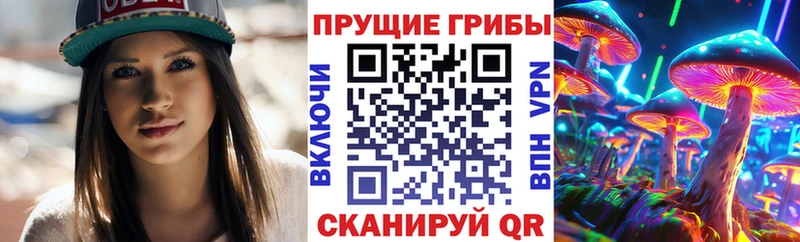 Галлюциногенные грибы Psilocybe  купить   дарк нет какой сайт  Североуральск  ОМГ ОМГ как зайти 